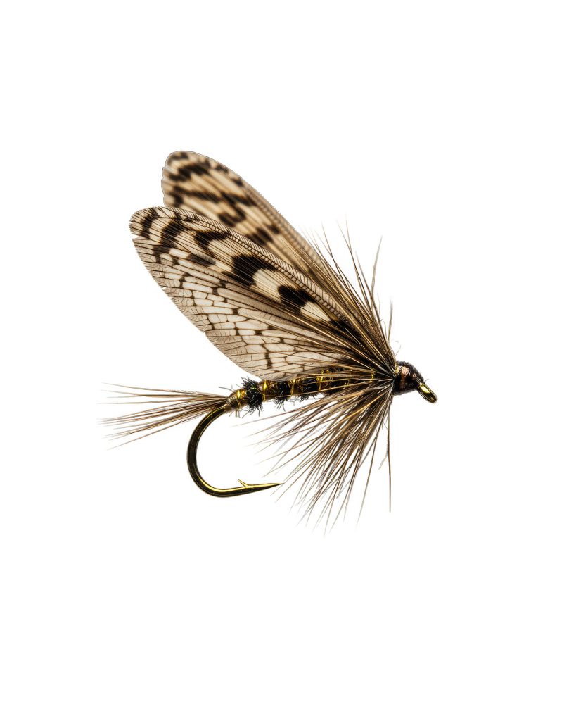 Missoula website design services serving small businesses, churches and non-profits.